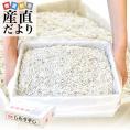 徳島県椿泊産　しらす干し　1キロ入り　業務用箱　シラス　 送料無料