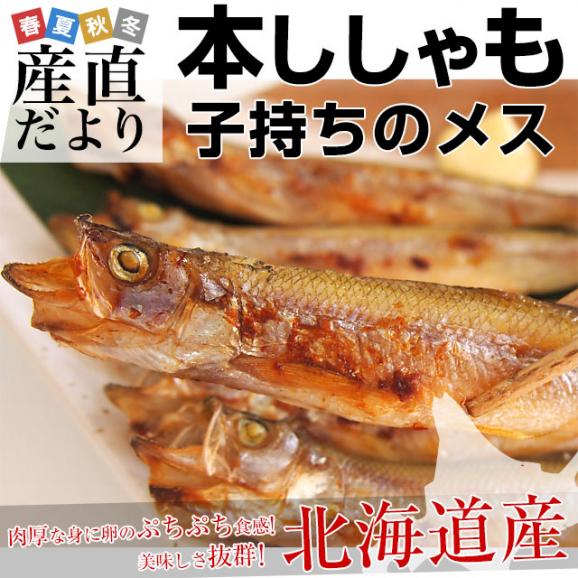 送料無料 北海道から産地直送 北海道産 本ししゃも 子持ちのメス 30尾入化粧箱 柳葉魚 本シシャモ02