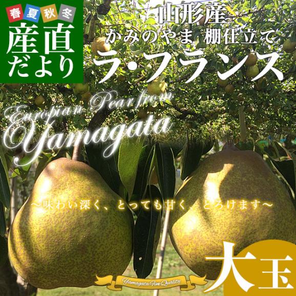 山形県より産地直送 山形かみのやま産 棚仕立てラ・フランス 大玉 約2キロ（4玉から6玉） 送料無料 ようなし ラフランス 山形上山02