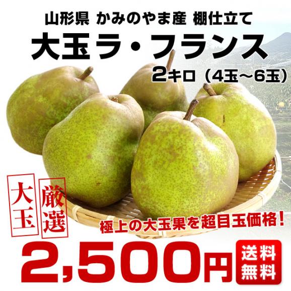 山形県より産地直送 山形かみのやま産 棚仕立てラ・フランス 大玉 約2キロ（4玉から6玉） 送料無料 ようなし ラフランス 山形上山03