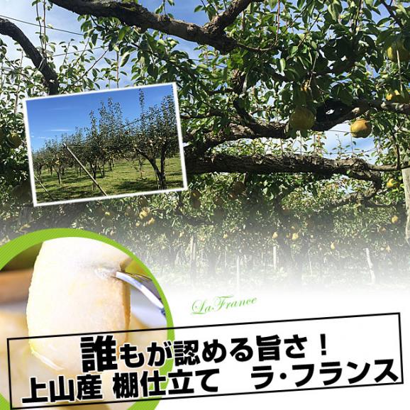 山形県より産地直送 山形かみのやま産 棚仕立てラ・フランス 大玉 約2キロ（4玉から6玉） 送料無料 ようなし ラフランス 山形上山04