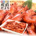 送料無料　有頭ボイル海老　ブラックタイガー　４Lサイズ　たっぷり1キロ（45尾前後）　エビ　蝦　マレーシア産　養殖