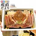 送料無料　超大型の生ズワイガニ（カニみそ付）　まるごと1尾　解体　約1キロ　生ズワイ蟹　生ずわい蟹　カニ鍋　産直だより
