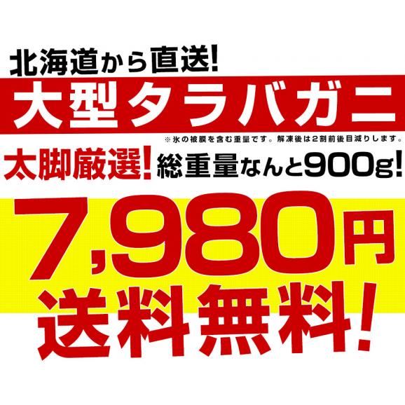 【期間限定価格】北海道より直送 北海道加工 大型タラバガニ 太脚 特5Ｌサイズ 900g 送料無料 カニ かに足 蟹足04