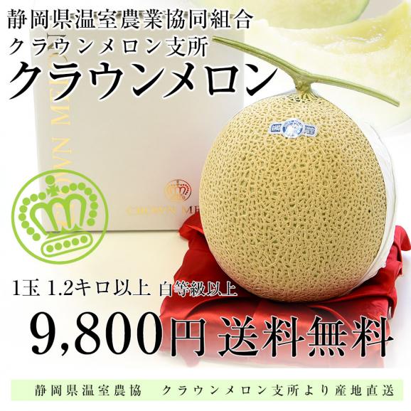 静岡県より産地直送 静岡県温室農協 クラウンメロン ギフト用化粧箱入り（白等級以上 １玉 1.2キロ) 送料無料 めろん くらうん03