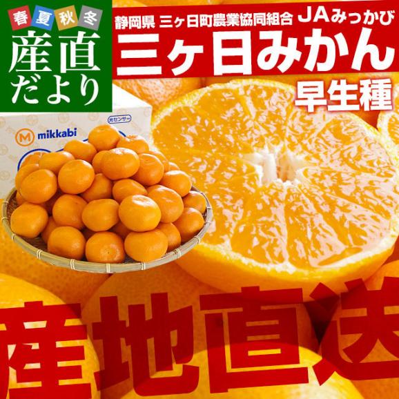 静岡県より産地直送 JAみっかび 三ケ日みかん (早生品種)  LからMサイズ  4キロ 送料無料 三ヶ日 みつかび ミカン 温州みかん02