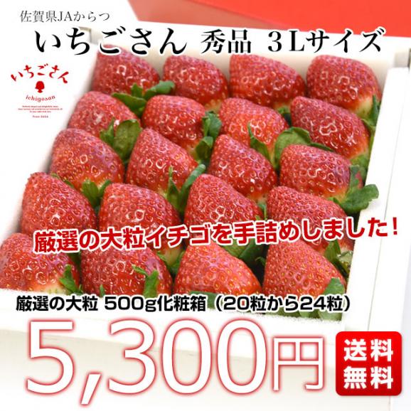 送料無料 佐賀県より産地直送 JAからつ 新品種いちご いちごさん 秀品 ３Lサイズ 500g化粧箱 20粒から24粒 イチゴサン イチゴさん いちごサン 唐津 うまかもん03