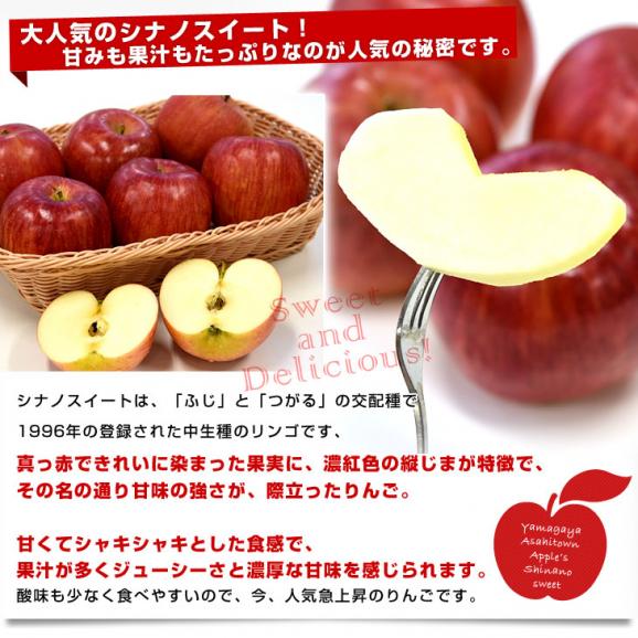 山形県より産地直送 朝日町APPLES シナノスイート2キロ化粧箱 (5玉から8玉) りんご リンゴ 林檎 アップルズ　送料無料04