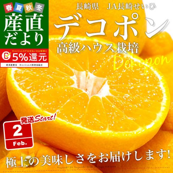 長崎県より産地直送 JA長崎せいひ ハウス栽培デコポン 優品  ５Ｌから２Ｌサイズ 3キロ (6玉から12玉) 送料無料  柑橘 かんきつ 2月発送商品02