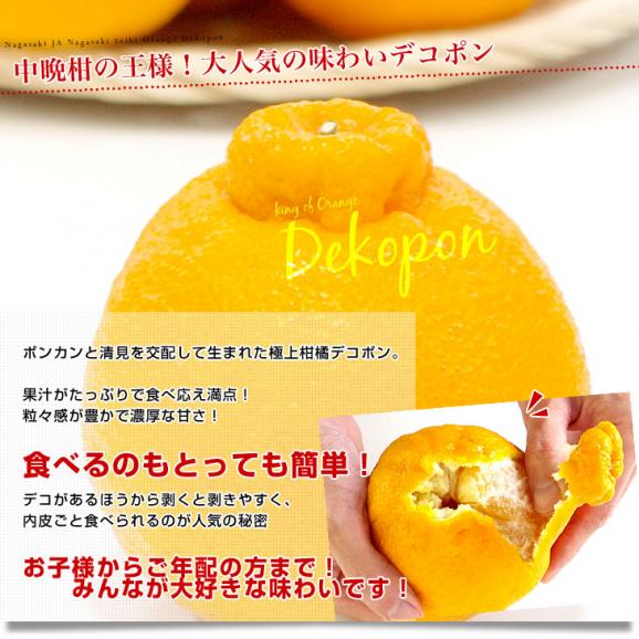 長崎県より産地直送 JA長崎せいひ ハウス栽培デコポン 優品  ５Ｌから２Ｌサイズ 3キロ (6玉から12玉) 送料無料  柑橘 かんきつ 2月発送商品04