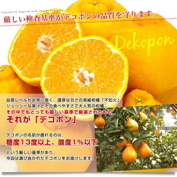 長崎県より産地直送 JA長崎せいひ ハウス栽培デコポン 優品  ５Ｌから２Ｌサイズ 3キロ (6玉から12玉) 送料無料  柑橘 かんきつ 2月発送商品05