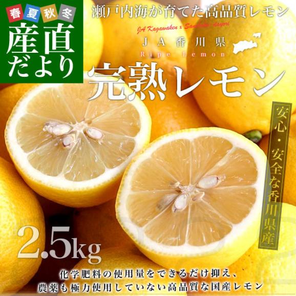 香川県から産地直送 JA香川県 完熟レモン 約 2.5キロ (20玉から25玉前後) 送料無料  柑橘 檸檬 国産レモン02