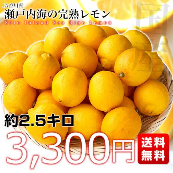香川県から産地直送 JA香川県 完熟レモン 約 2.5キロ (20玉から25玉前後) 送料無料  柑橘 檸檬 国産レモン03