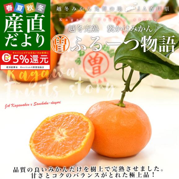 香川県より産地直送　JA香川県　越冬完熟みかん「ふるーつ物語」　2.5キロ (30玉から50玉）送料無料 蜜柑 樹上完熟 ミカン 観音寺 マル曽 さぬき 02