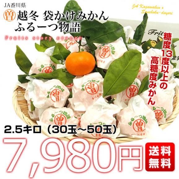 香川県より産地直送　JA香川県　越冬完熟みかん「ふるーつ物語」　2.5キロ (30玉から50玉）送料無料 蜜柑 樹上完熟 ミカン 観音寺 マル曽 さぬき 03
