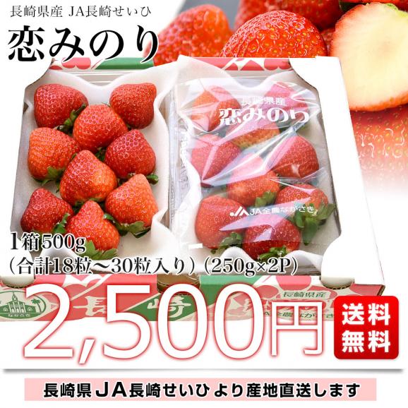 長崎県より産地直送 JA長崎せいひ　恋みのり 1箱約500g（250g×２パック）合計18粒から30粒入り 送料無料 苺 イチゴ こいみのり　from九州03