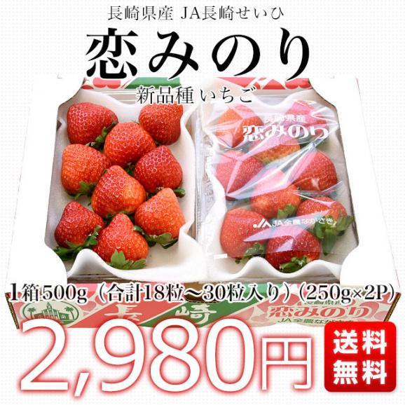 長崎県より産地直送 JA長崎せいひ 期待の新品種いちご「恋みのり」 1箱約500g（250g×２パック）合計18粒から30粒入り 送料無料 苺 イチゴ こいみのり03