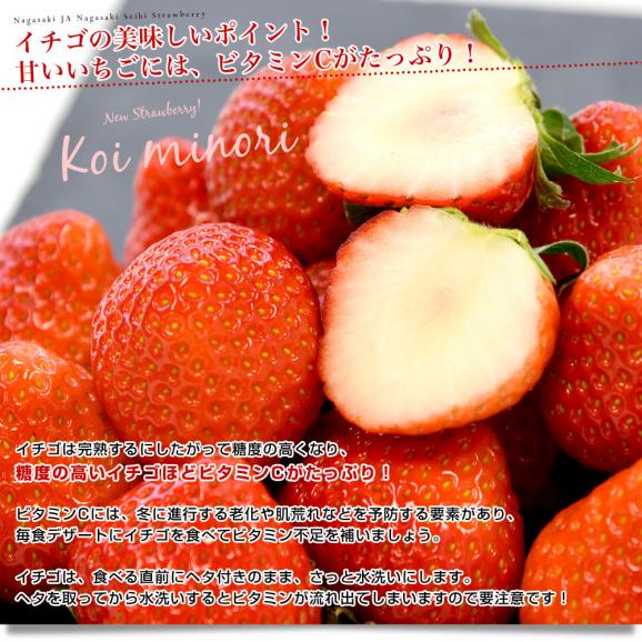 長崎県より産地直送 JA長崎せいひ 期待の新品種いちご「恋みのり」 1箱約500g（250g×２パック）合計18粒から30粒入り 送料無料 苺 イチゴ こいみのり06