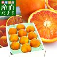 愛媛県より産地直送 JAえひめ南 ブラッドオレンジ  優品 2キロ (8玉から10玉) 柑橘 国産オレンジ 国産ブラッド 送料無料