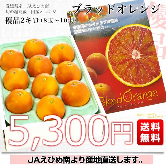 愛媛県より産地直送 JAえひめ南 ブラッドオレンジ  優品 2キロ (8玉から10玉) 柑橘 国産オレンジ 国産ブラッド 送料無料03