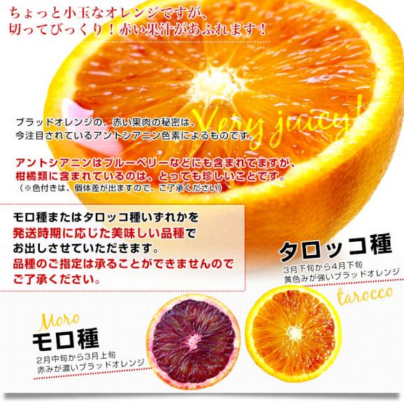 愛媛県より産地直送 JAえひめ南 ブラッドオレンジ  優品 2キロ (8玉から10玉) 柑橘 国産オレンジ 国産ブラッド 送料無料06