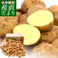鹿児島県産 JA鹿児島いずみ他 赤土ばれいしょ 新じゃが ニシユタカ Mサイズ 約10キロ 馬鈴薯  じゃがいも ジャガイモ 市場スポット