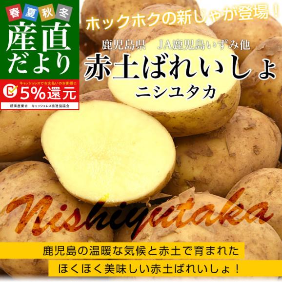 鹿児島県産 JA鹿児島いずみ他 赤土ばれいしょ 新じゃが ニシユタカ Mサイズ 約10キロ 馬鈴薯  じゃがいも ジャガイモ 市場スポット02