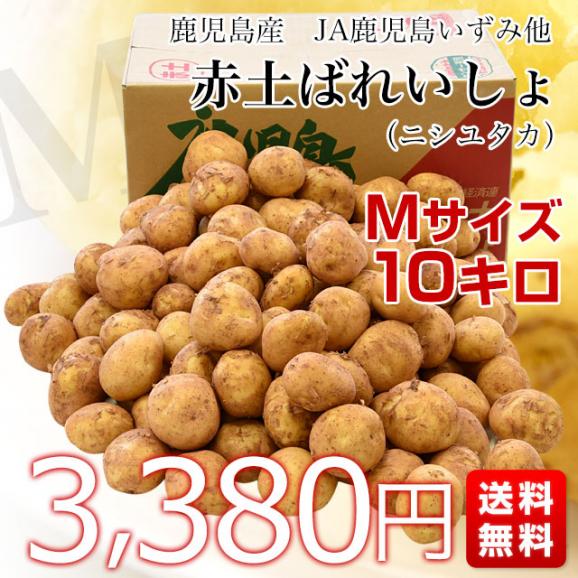 鹿児島県産 JA鹿児島いずみ他 赤土ばれいしょ 新じゃが ニシユタカ Mサイズ 約10キロ 馬鈴薯  じゃがいも ジャガイモ 市場スポット03