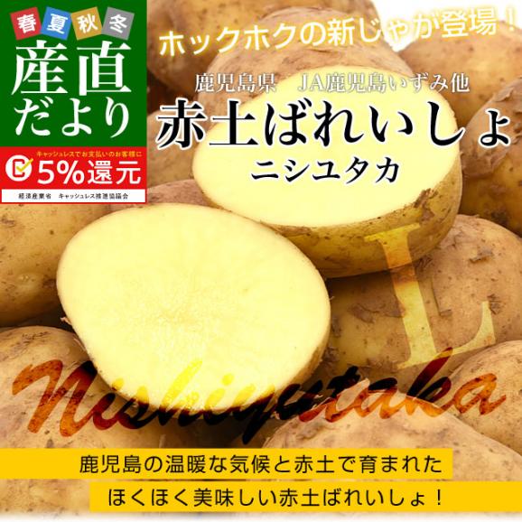 鹿児島県産 JA鹿児島いずみ他 赤土ばれいしょ 新じゃが ニシユタカ Lサイズ 約10キロ 馬鈴薯  じゃがいも ジャガイモ 市場スポット02