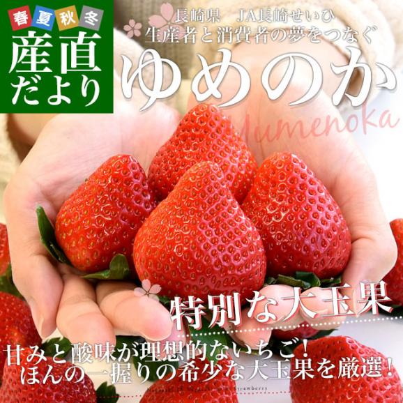 長崎県より産地直送 JA長崎せいひ 期待の新品種いちご ゆめのか  500g化粧箱（8粒から15粒入） 送料無料 苺 イチゴ こいみのり 長崎西彼農協02