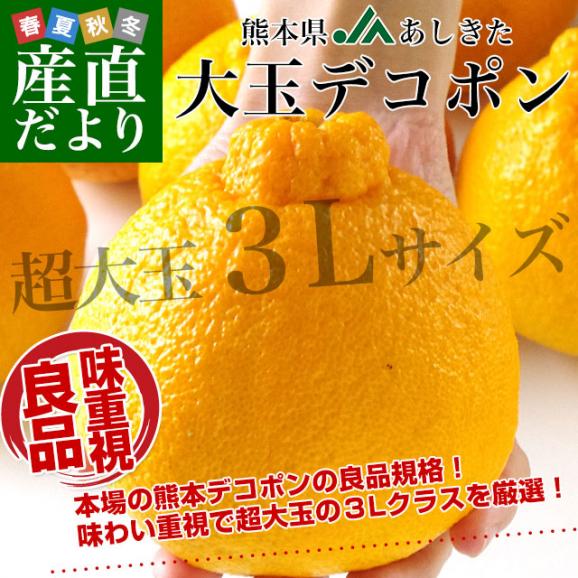 熊本県より産地直送 JAあしきた  大玉デコポン (良品)  3キロ (8玉から10玉) 送料無料 でこぽん デコぽん 芦北 葦北02