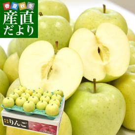 青森県より産地直送 JA津軽みらい 王林 ＣＡ貯蔵 秀Ａ 5キロ (16玉から20玉) 送料無料 林檎 リンゴ 津軽