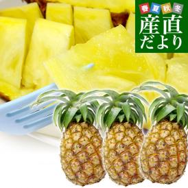 沖縄パインアップル！桃のような香りが人気！絶品味のパイナップルです。