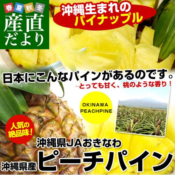 沖縄県より産地直送 JAおきなわ 沖縄県産 ピーチパイン 3玉セット 合計1.8キロ前後 (600g×3玉) 送料無料 沖縄パイン パイナップル パインアップル いしがきじま02