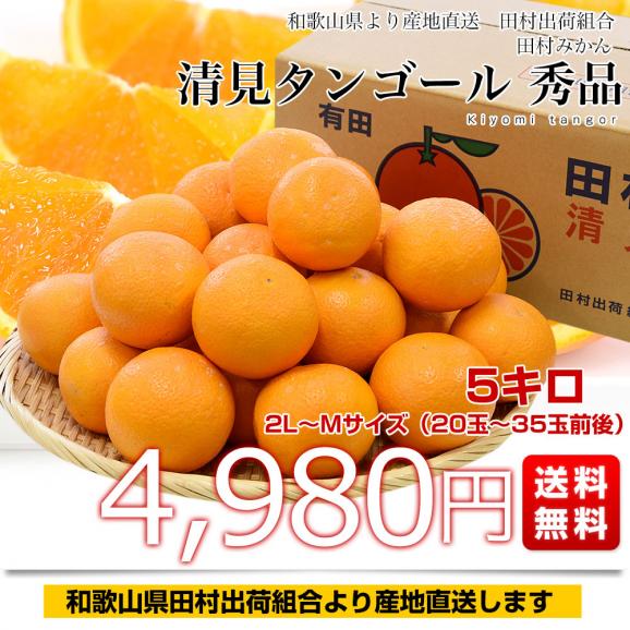和歌山県より産地直送 田村出荷組合 清見タンゴール 秀品 2LからMサイズ 5キロ(20玉から35玉前後) 田村みかん 有田 柑橘03