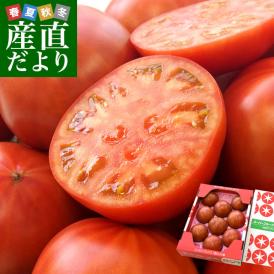 茨城県より産地直送 NKKアグリドリーム スーパーフルーツトマト 9度＋ A品 約900g(8玉から16玉) 送料無料 高糖度トマト NKKトマト