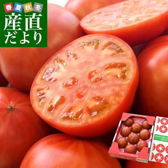 茨城県より産地直送 NKKアグリドリーム スーパーフルーツトマト 9度＋ A品 約1キロ(8玉から16玉)  送料無料 高糖度トマト NKKトマト01