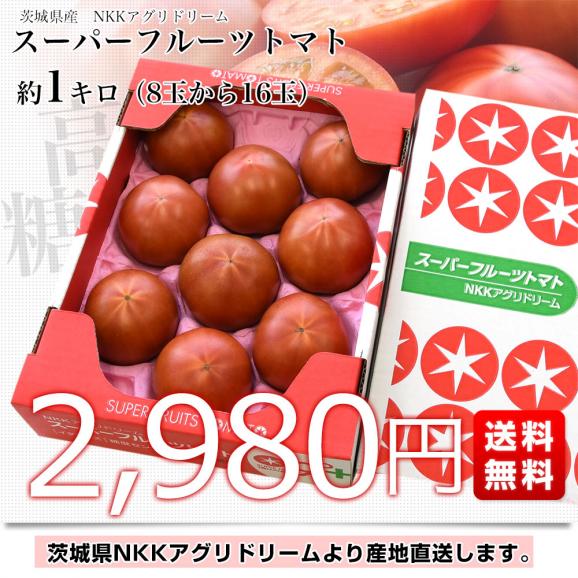 茨城県より産地直送 NKKアグリドリーム スーパーフルーツトマト 9度＋ A品 約1キロ(8玉から16玉)  送料無料 高糖度トマト NKKトマト03