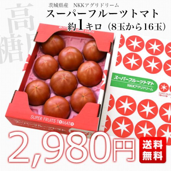 茨城県より産地直送 NKKアグリドリーム スーパーフルーツトマト 9度＋ A品 約1キロ(8玉から16玉)  送料無料 高糖度トマト NKKトマト03