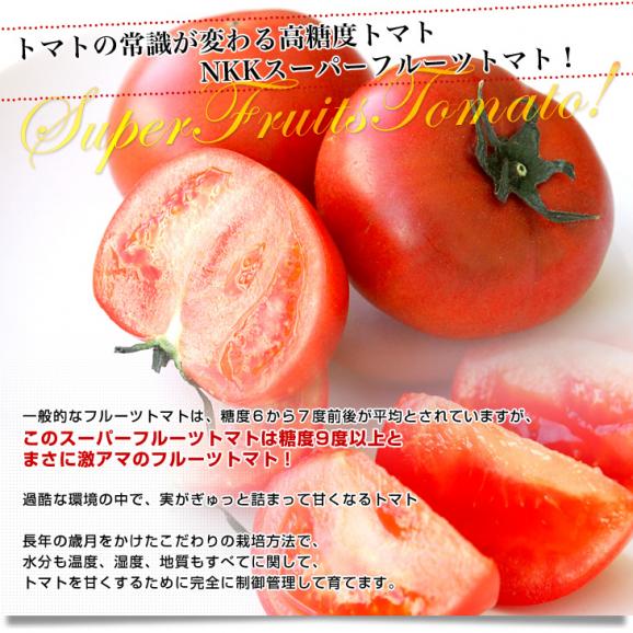 茨城県より産地直送 NKKアグリドリーム スーパーフルーツトマト 9度＋ A品 約1キロ(8玉から16玉)  送料無料 高糖度トマト NKKトマト04