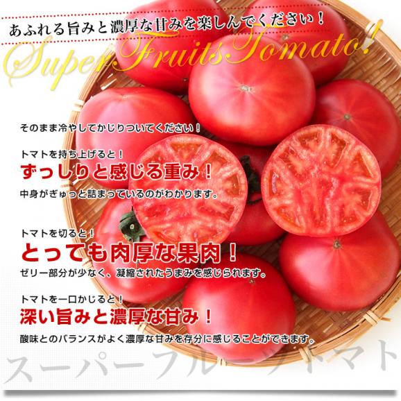 茨城県より産地直送 NKKアグリドリーム スーパーフルーツトマト 9度＋ A品 約1キロ(8玉から16玉)  送料無料 高糖度トマト NKKトマト05