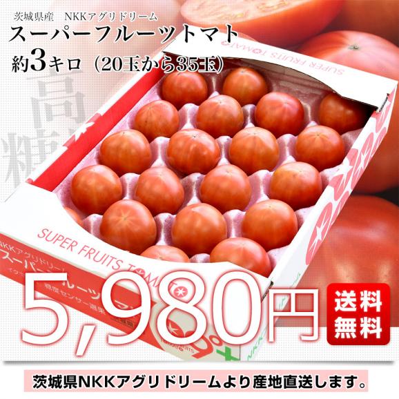 茨城県より産地直送 NKKアグリドリーム スーパーフルーツトマト 9度＋ A品 約3キロ(20玉から35玉)  送料無料 高糖度トマト NKKトマト03