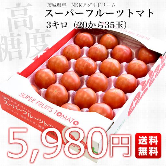茨城県より産地直送 NKKアグリドリーム スーパーフルーツトマト 9度＋ A品 約3キロ(20玉から35玉)  送料無料 高糖度トマト NKKトマト03