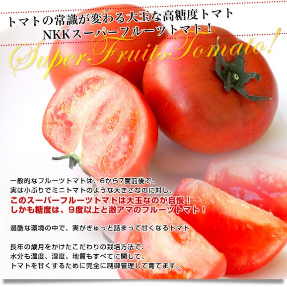 茨城県より産地直送 NKKアグリドリーム スーパーフルーツトマト 9度＋ A品 約3キロ(20玉から35玉)  送料無料 高糖度トマト NKKトマト04
