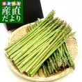 香川県より産地直送 JA香川県 さぬきのめざめ お得なご家庭用　約1キロ　送料無料 丸亀市他
