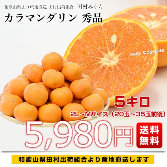 和歌山県より産地直送 田村出荷組合 カラマンダリン 秀品 2LからMサイズ 5キロ（20玉から35玉前後） 田村みかん 有田 柑橘03