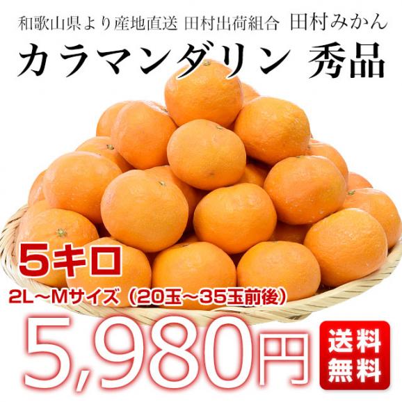 和歌山県より産地直送 田村出荷組合 カラマンダリン 秀品 2LからMサイズ 5キロ(20玉から35玉前後) 田村みかん 有田 柑橘03
