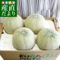 熊本県産 JA熊本うき又はJA熊本市 アンデスメロン 4Lから3L 5キロ箱 (大玉3玉から4玉) 送料無料 市場スポット