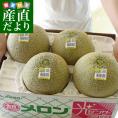 茨城県産 JA茨城旭村 オトメメロン 4Lから3Lサイズ 5キロ箱 (3玉から4玉) 送料無料 市場スポット