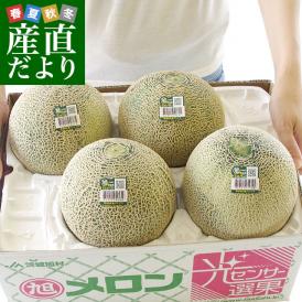 茨城県産 JA茨城旭村 アンデスメロン 4Lから2Lサイズ 5キロ箱 (3玉から5玉) 送料無料 市場スポット